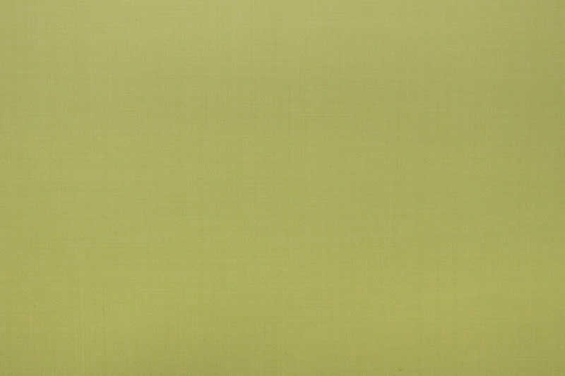 Enrico Zenoni Revolution Green · 4700-30 cloth