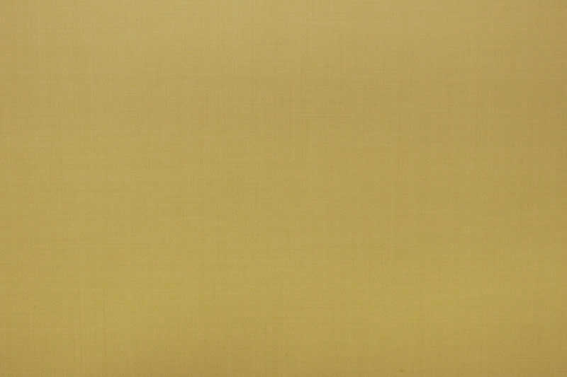 Enrico Zenoni Revolution Yellow · 4700-31 cloth