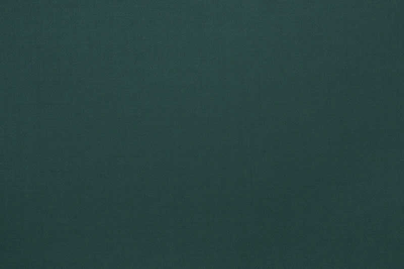 Enrico Zenoni Revolution Green · 4700-33 cloth