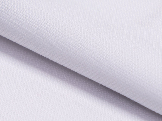 Everglade Wrinkle-Free Pearl White · CANVAS-1 shirting